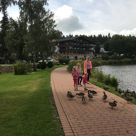 Fewo Andresen Hahnenklee Goslar Zewnętrze zdjęcie